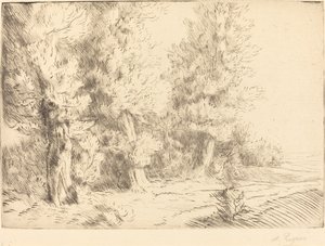 Fontainebleau Ormanı
