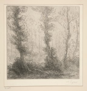 Küçük Göl by Alphonse Legros