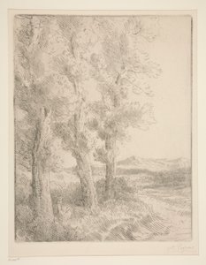 Kadın Okuma: Ağaçların Altında Ders by Alphonse Legros