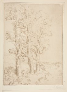 Kadın Okuma: Ağaçların Altında Ders by Alphonse Legros