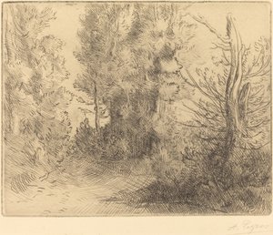 Manzara: Chailleux yakınında (Ödeme: Pres Chailleux) by Alphonse Legros