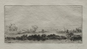 Beat-bog ile Manzara: Marsh