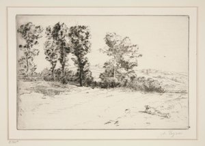 Le pre ensoleille (Güneş Işığında Çayır) by Alphonse Legros