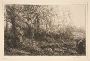 orman kenarı by Alphonse Legros