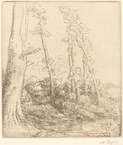 Küçük Gölet (La petite mare) by Alphonse Legros