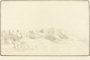 Burgonya