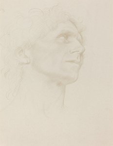Kadının Başının İncelenmesi, Sağa Döndü. by Alphonse Legros