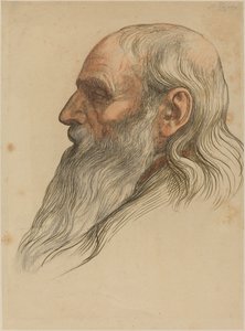 Tam Sakallı Bir Adamın Kafasının İncelenmesi by Alphonse Legros
