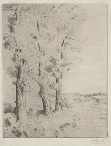 Okuyucu: Ağaçların Altındaki Ders by Alphonse Legros