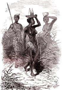 Nuer kabilesinin yerlileri, yukarı Nil vadisi by Alphonse Marie de Neuville