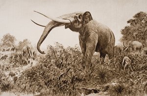 Chatham Elephant, H.G. Wells