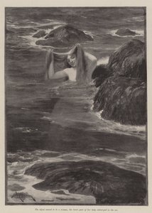 Deniz Kızı Deniz Kızı, Bret Harte