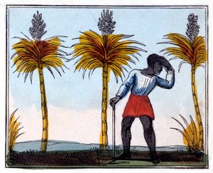 Şeker Kamışı Kesme, 1826 by Amelia Alderson Opie
