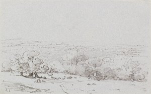Bromley Hill