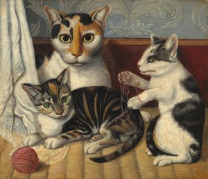 kedi ve yavru kedi