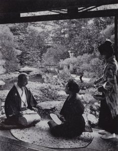 Güzel bir özel bahçe (s/b fotoğraf) by American Photographer (after)