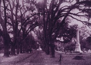 Bonaventure Mezarlığı, Savannah, Georgia (s/b fotoğraf) by American Photographer (after)