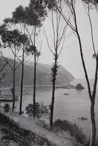 Kaliforniya: Avalon Körfezi, Santa Catalina Adası, Güney Kaliforniya anakarasından 30 mil uzakta Pasifik Okyanusunda sihirli oyun alanı (s/b fotoğraf) by American Photographer (after)