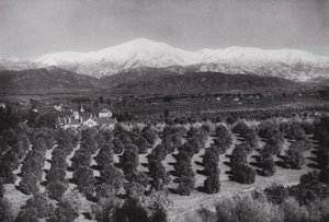 California: Redlands, Smiley Heights