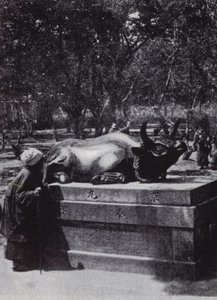 Bronz bir boğayı okşayan dindar kadın (s/b fotoğraf) by American Photographer (after)