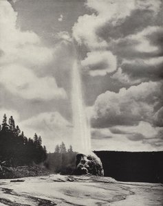 Lone Star Gayzer, Yellowstone, Wyoming (s/b fotoğraf) by American Photographer (after)