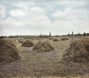 Oregon: Yonca (fotoğraf) by American Photographer (after)