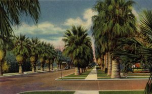 Phoenix, Arizona: Kuzey Merkez Caddesi (fotoğraf) by American Photographer (after)