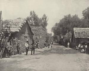 Meksika, Santa Anita