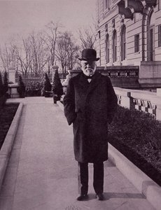 Andrew Carnegie, New York