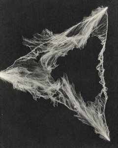  by American Photographer
