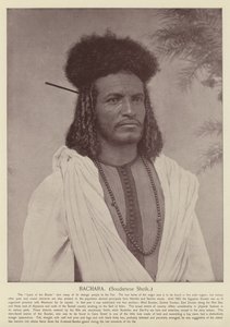 Bachara, Sudan Şeyhi