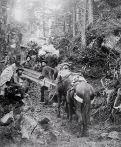 Klondike Gold Rush (1897-98) sırasında Chilkoot Geçidi yolunda Dyea Patikasında Tırmanma (s/b fotoğraf) by American Photographer