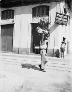 Çiçekçi, Havana, c.1910 (s/b fotoğraf) by American Photographer
