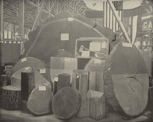 Gladstone Baltası by American Photographer