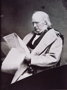 Horace Greeley (1811-72) (s/b fotoğraf) by American Photographer
