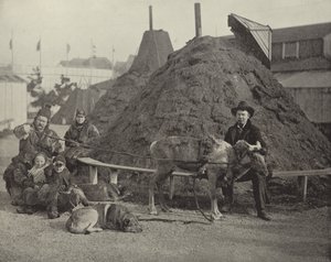 Lapland Köyü