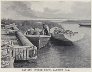 Landing Oyster Boats, Jamaika Körfezi (s/b fotoğraf) by American Photographer
