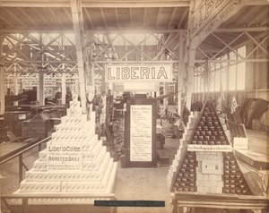 Liberya sabun ve kahve sergisi, Tarım Salonu, Philadelphia Centennial Sergisi, 1876 (albüm baskısı) by American Photographer
