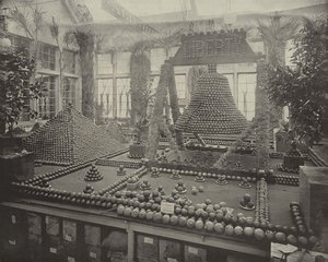Portakallarda Özgürlük Çanı by American Photographer