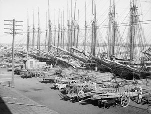 Muelle Tallapiedras, Havana, c.1904 (s/b fotoğraf) by American Photographer