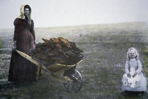 Sığır gübresi toplayan öncü kadın, Kansas, 1880 dolayları (renkli fotoğraf) by American Photographer