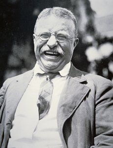 Başkan Theodore Roosevelt, 1917 dolayları (s/b fotoğraf) by American Photographer