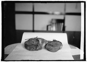 Yasak Birimi (İnek Pabuçları), 28 Haziran 1924 (s/b fotoğraf) by American Photographer