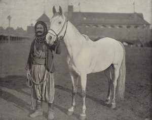 Bedeviler Ödül Atı by American Photographer