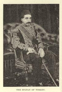 Türkiye Sultanı by American Photographer