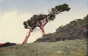  by American Photographer