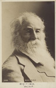 Walt Whitman (1819-1893), Amerikalı şair by American Photographer