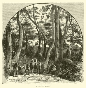 Köy yolu by American School
