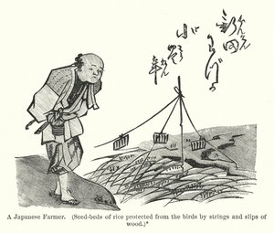 Bir Japon Çiftçi, Kuşlardan ipler ve tahta parçaları ile korunan pirinç tohum yatakları (gravür) by American School