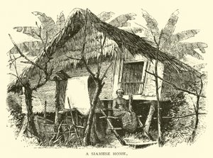 Bir Siyam evi by American School